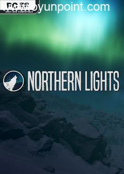 Northern Lights Build 14860910