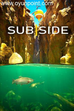 Обложка Subside